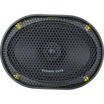 GZCF 69SPL 6x9” 2-Way Coaxial (Weather Resistant)